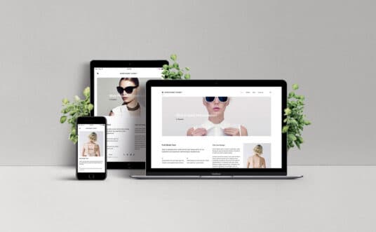 Responsive website design
